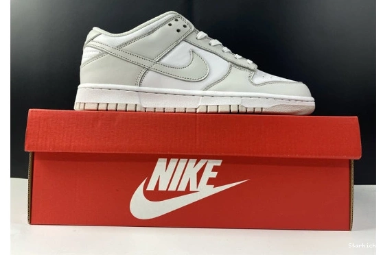 DD1503-103 "Photon Low Nike Dust" Dunk 0115